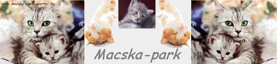 #Macska-park#Nevelj itt cict!